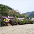 가사문학초등학교 이미지