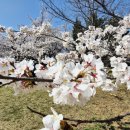 성호공원_식물원주변 이미지