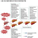 Re: '간염' ＜1＞ 이미지