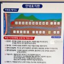 그랑블루글램핑야영장 네이버블로그