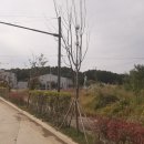 이산공인중개사사무소 이미지