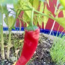 경기도 수원시 팔달구 수원천로210번길 37 (인계동) 이미지