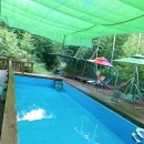 한옥과편백의 만남 이미지