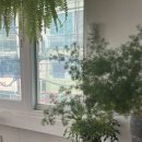 혜은디저트카페 이미지