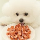 예스몽