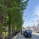 신이문역 1번출구 | 신이문역 주변 산책명소 의릉 후기