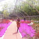 육각정 화장실 이미지