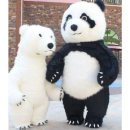 바이곰
