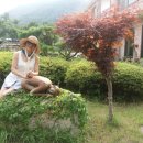 소울갤러리