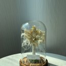 용산-273 | 용산 부케말리기 유리돔 제작 후기 삼각지역 리틀리에 소울