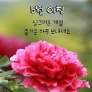 오월의 詩 / 이해인 이미지