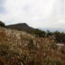 수림목장 이미지