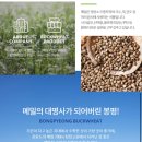 봉평고원메밀 이미지