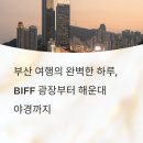 BIFF광장 이미지