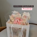 아크앤시엘 이미지