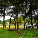 구학리산채관광마을 이미지