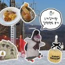 호텔도도 | [강원도] 하이원리조트 : 팰리스호텔 트윈룸, 조식, 스키장, 강원랜드 후기 + 도도 생일 🎂