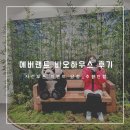 에버랜드 바오하우스 선오픈 방문 후기 _팬더못봄_추천안함_푸바오굿즈 정보, 패밀리썰매 아기랑 탄 후기