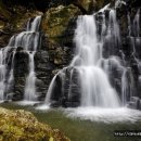 벨라비스타 이미지