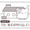 맥PC카페 이미지