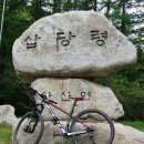 정선군 버들고개 이미지