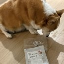 건강한펫 | 부산 펫쇼 2026 벡스코 방문 후기｜사람 많았던 부스 &amp; 실제 구매템 공개