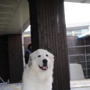 장순농장 이미지