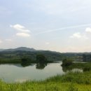 애견의 정원 이미지