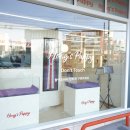 퍼피라이프 | 대구강아지입양 고민 끝! 직접 방문해본 대구강아지분양 홍스퍼피 리얼 후기