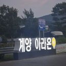 아라천 | 계양 아라온 야경 산책 후기🌙 반짝이는 조명과 시원한 여름 산책