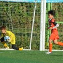 모란야구장 이미지