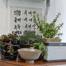 군산칼국수 | 군산 숨은 맛집 시골집칼국수 신선한재료 현지인 후기