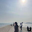 수원 AK 포멜카멜레 롱부츠 착용 후기