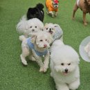 스토리24시 이미지