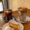 코보네맛집 | [보문역] 성북천 감성 가득한 채광 맛집 코보 (내돈내산 솔직후기)