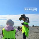 장골 | 인천 아이와 가볼만한곳 추천 자월도 장골해수욕장 해루질 바지락 캐기 체험 비용 준비물