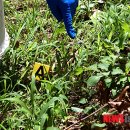 세모안경 이미지