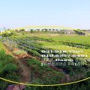 자유로농장 이미지