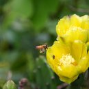 마중오름 이미지