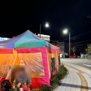 평택 해산물 술집 싱싱어시장 고등어회 후기 내돈내산 솔직후기