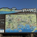 릴렌하우스 이미지