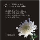 전남 무안공항 여객기 추락 슬픈 비보에 "삼가 고인의 깊은 명복을 빕니다" 이미지