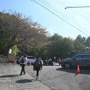 믿음사슴농장 이미지