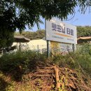 멍생멍사 | 펫프닝타운 깨끗하고 귀여운 천안애견운동장 후기