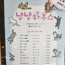 미사A15블럭앞 | 강동 미사 고양이카페 냥냥하우스 하남 고양이카페