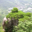 운문지맥(2구간) : 용암봉-중산-낙화산-보담산-비학산 구간