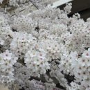 온양역길 이미지