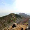 04-10(일)_장복산(진해)_진달래 벚꽃 야생화 바다조망 벚꽃길... 이미지
