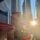 삼거리 포장마차 | [신대방 / 신대방삼거리역 노포 야장 맛집] 가성비 포장마차 횟집 파도회 내돈내산 후기 (찐 야장...