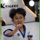 경희대 KTIGERS 태권도 이미지